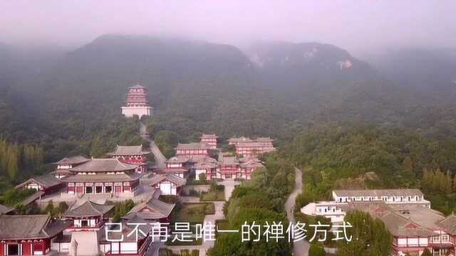 带你亲临河南佛教学院看风景