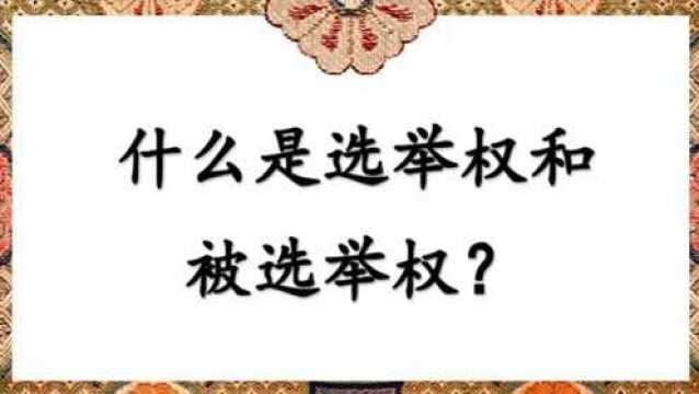 什么是选举权和被选举权?