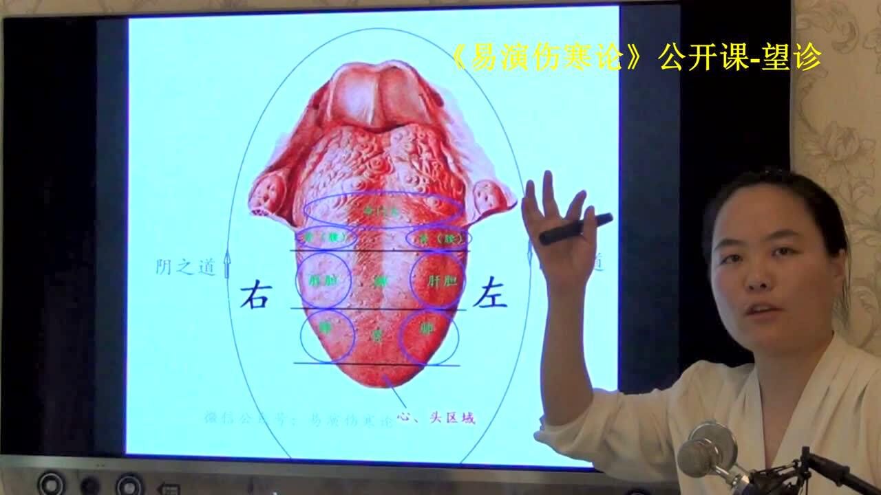 110望诊舌象分区正常舌象-易演中医·望诊公开_腾讯视频