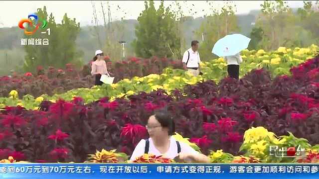 中秋小长假:花博汇内赏七彩花海