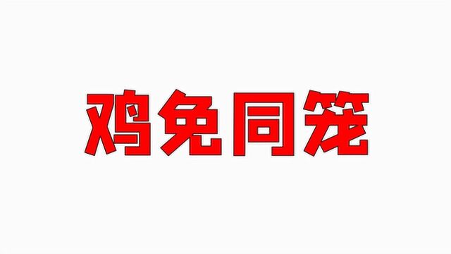 小学数学:鸡免同笼,有头36 ,有脚120,求鸡兔数