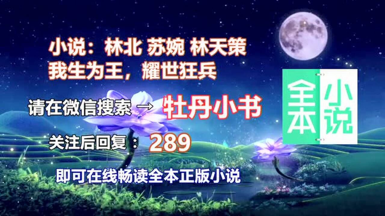 生而不凡林北苏婉林天策,耀世狂兵大结局