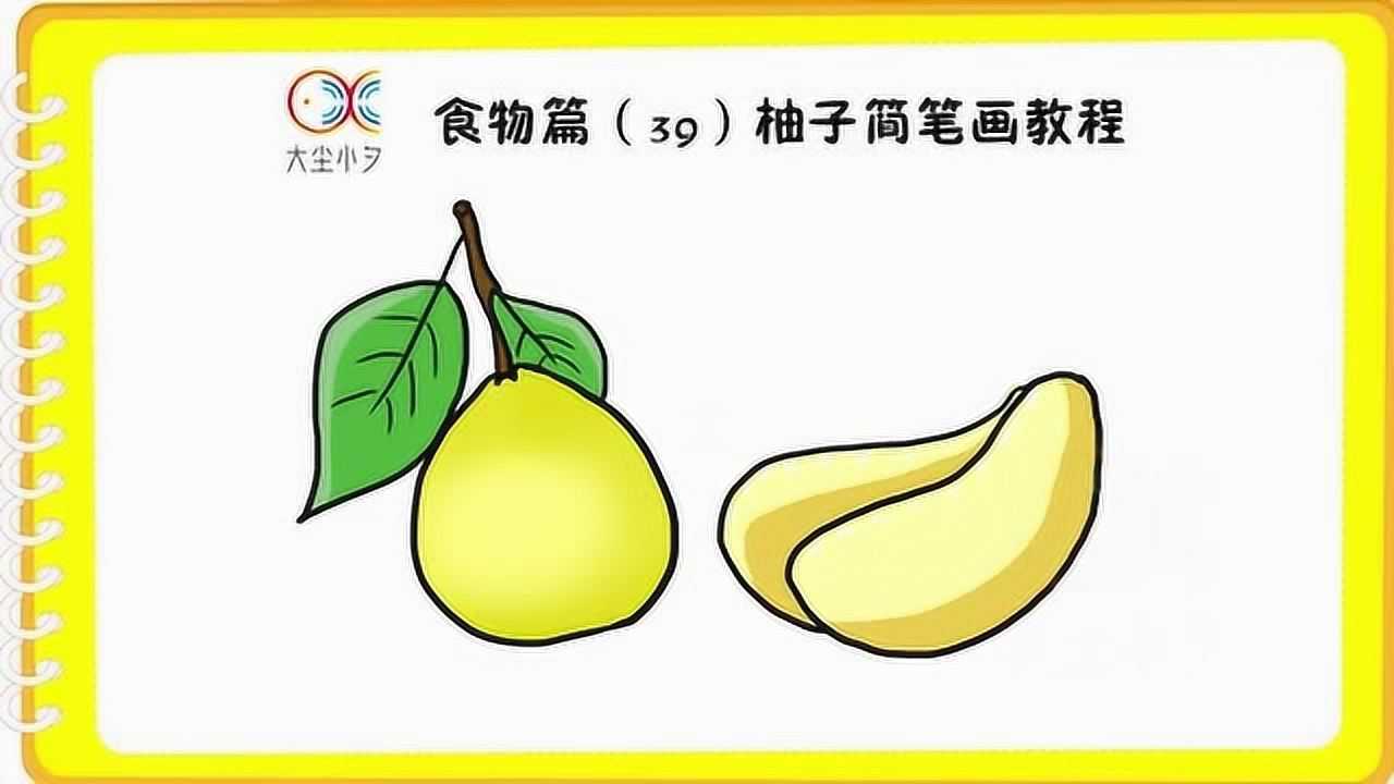 食物篇(39)柚子简笔画教程