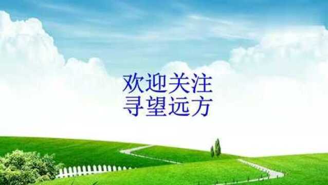 字谜:“山上复又山”,除“岳”字之外,还有一个答案,你知道吗