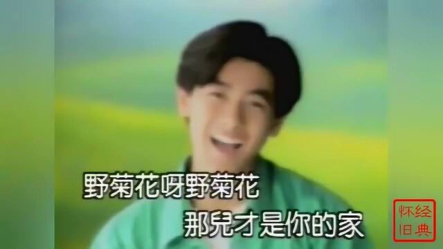 林志颖怀旧金曲《野菊花》,青春时光的记忆,珍藏MTV值得收藏