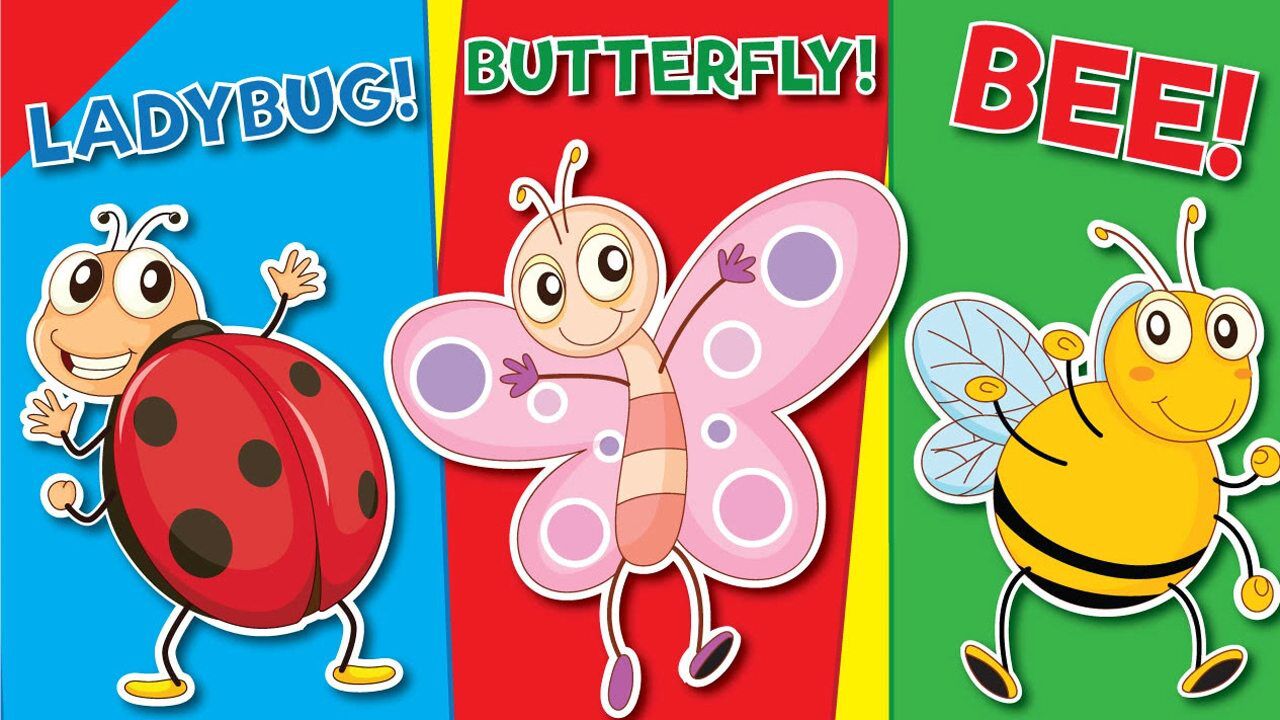 第05集  昆虫世界