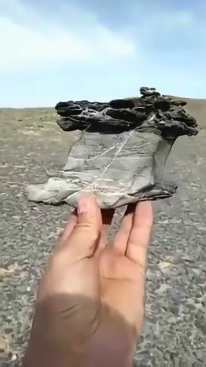 无人区戈壁滩捡的石头,这形状太奇怪,像不像靴子