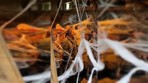 奇门遁甲花絮,被蜘蛛网缠住这样拍的