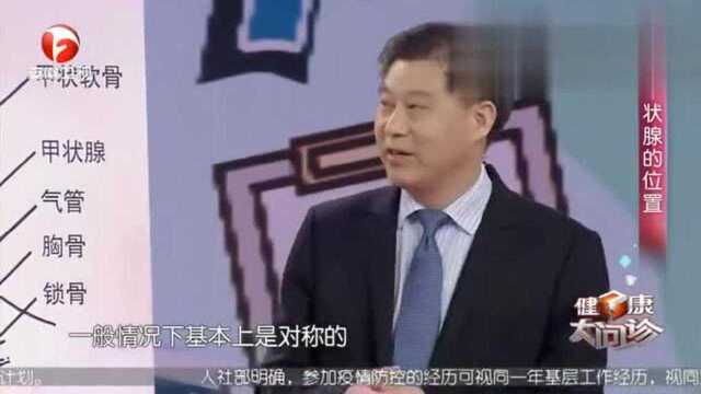 甲状腺到底在身体的什么位置?大部分人不知道它居然这么大!