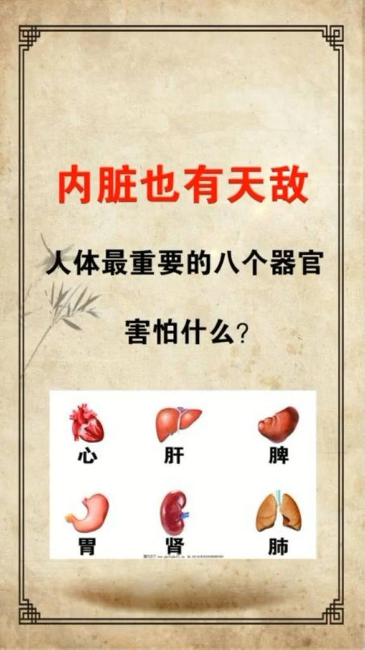 内脏也有天敌人体最重要的八个器官害怕什么