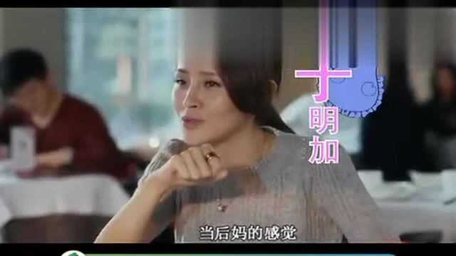 电视剧 老婆大人