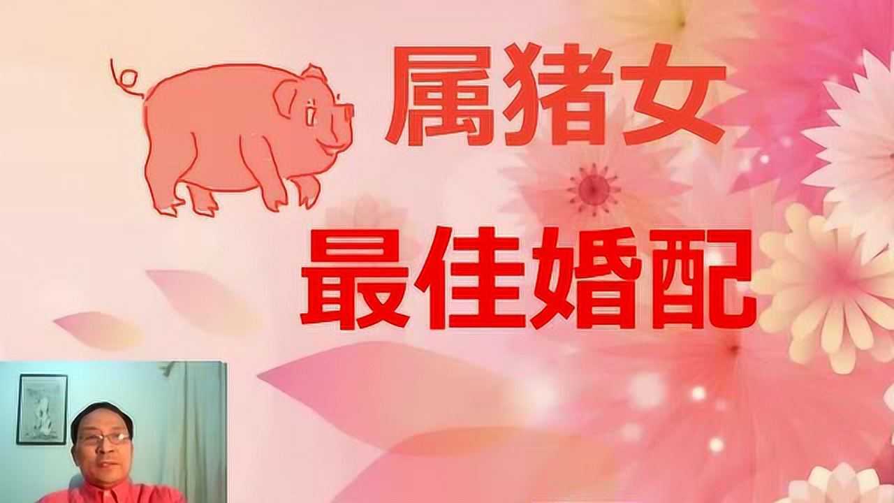 属猪女,最佳婚配属相