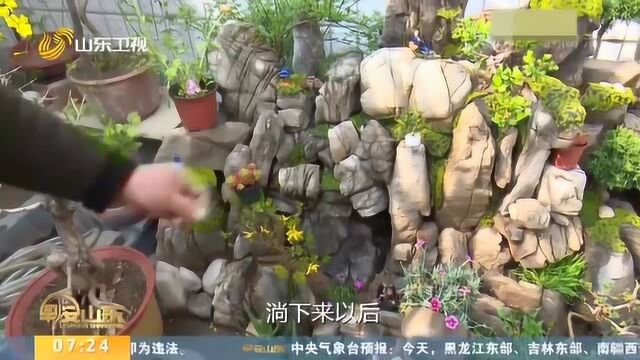 精致!淘石头 垒假山 大叔用4年时间打造“山水雅舍”