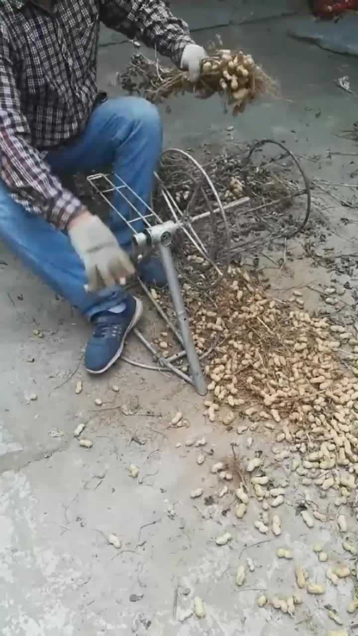 农民伯伯自己制作摘花生神器安全又好用