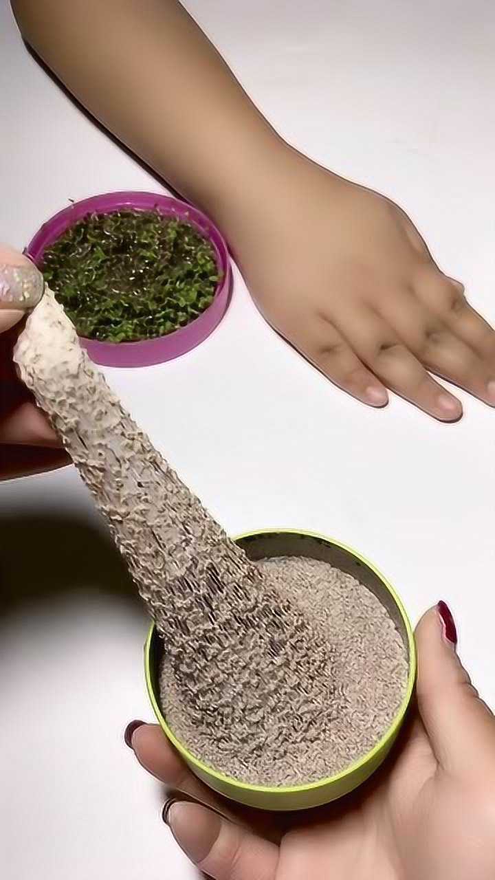 一个月没用的海藻面膜竟然长草了好神奇