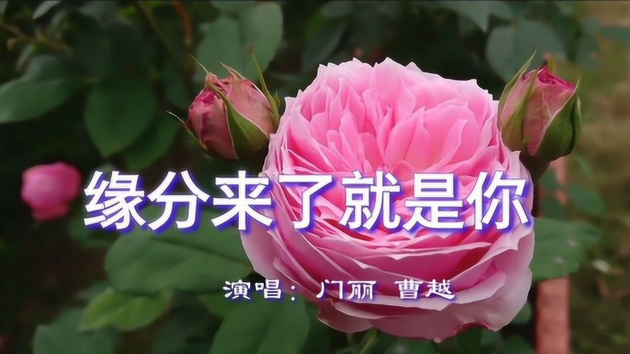 一首dj情歌《缘分来了就是你》旋律优美,歌词醉人,好听极了!