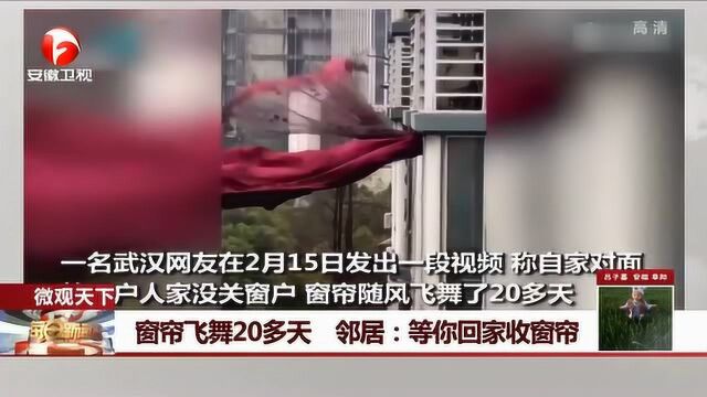 外出不在家 结果自家窗帘“火了” 这是一种什么样的体验