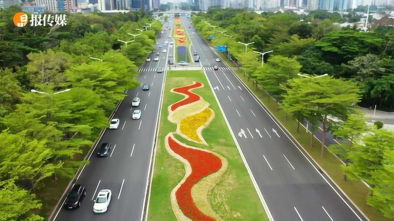俯瞰深南大道,四月的深圳生机盎然