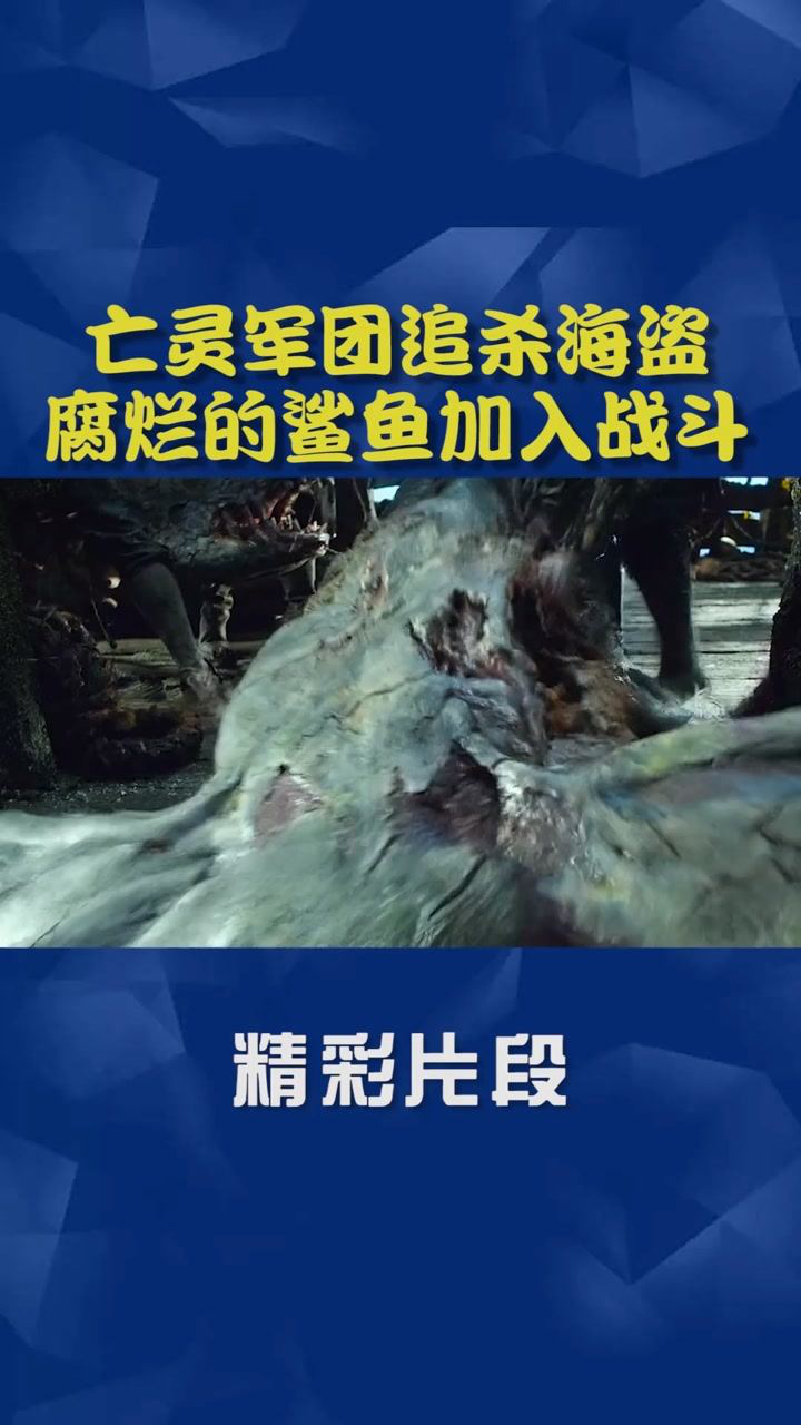 特效巅峰之作没有之一片名加勒比海盗