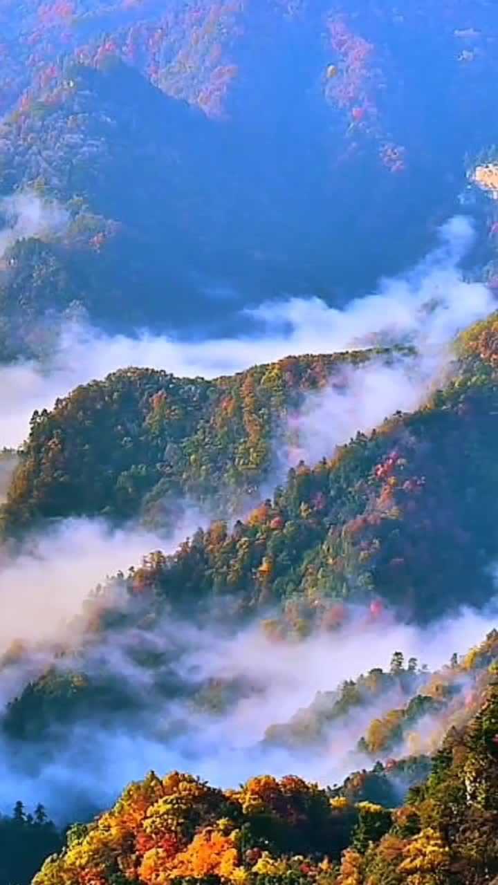 仙气缭绕的大秦岭,一片层林尽染的景色,简直美腻了