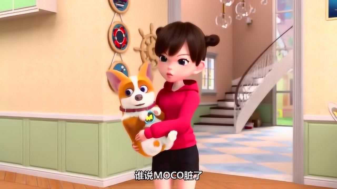 飞狗moco:小主人护着我,妈妈护着小主人,一家人真好