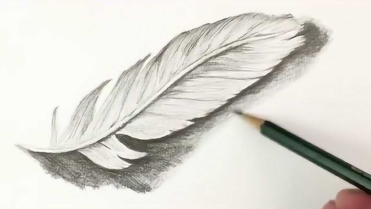 铅笔画素描羽毛,画面效果好看又简单!