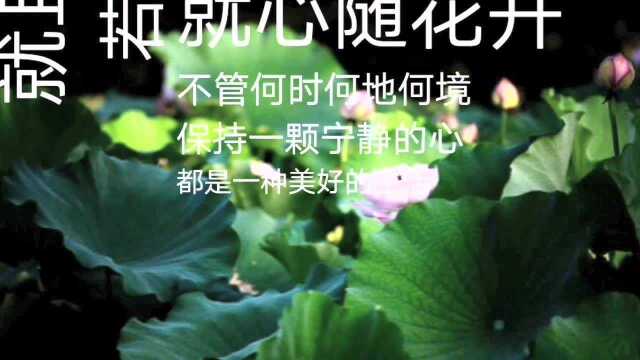 若晴天和日,就静赏闲云.若雨落敲窗,就且听风声.若流年有爱,就心随花开