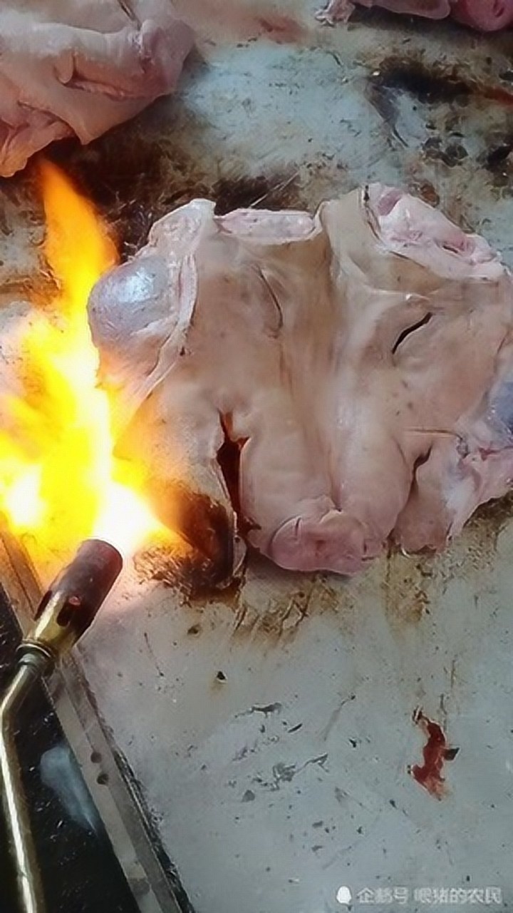 液化气喷枪烤猪头效果其实一般谁知道用氧气乙炔如何