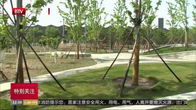 北京朝阳区建设百姓家门口公园