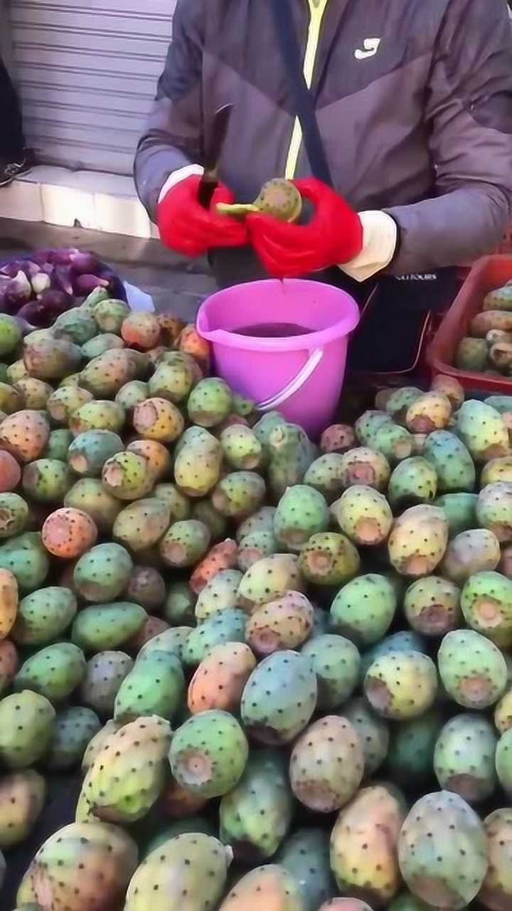 这就是国外摩洛哥的仙人掌果好吃到爆炸可惜国内买不到