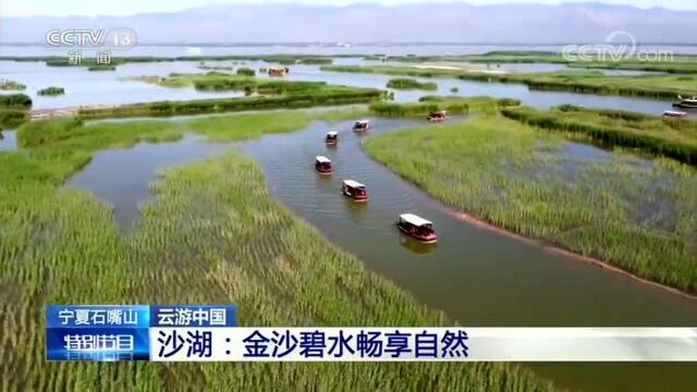 以青春的名义宁夏石嘴山 云游中国 沙湖:金沙碧水畅享自然