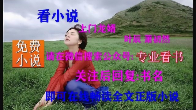 上门龙婿叶辰视频DVD版