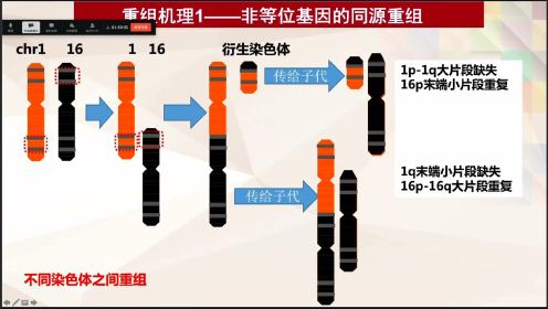 【陈晓丽教授】基因组拷贝数变异和儿童发育异常行疾病