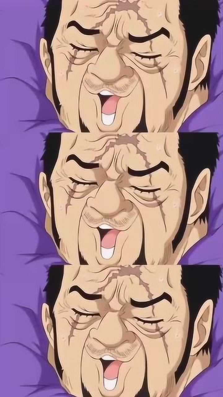 海贼王绝对的正义海军藤虎大将最后的笑也太可爱了吧