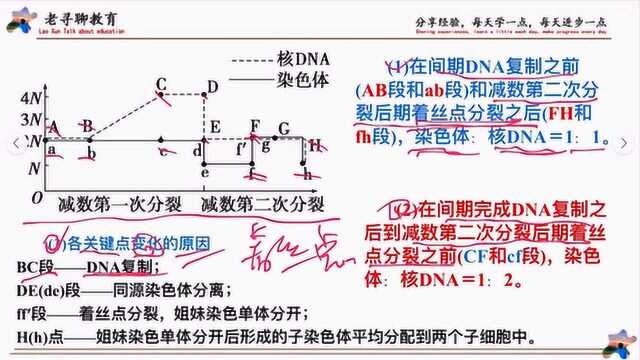 第15期特别版,减数分裂过程中染色体和DNA含量变化曲线分析.