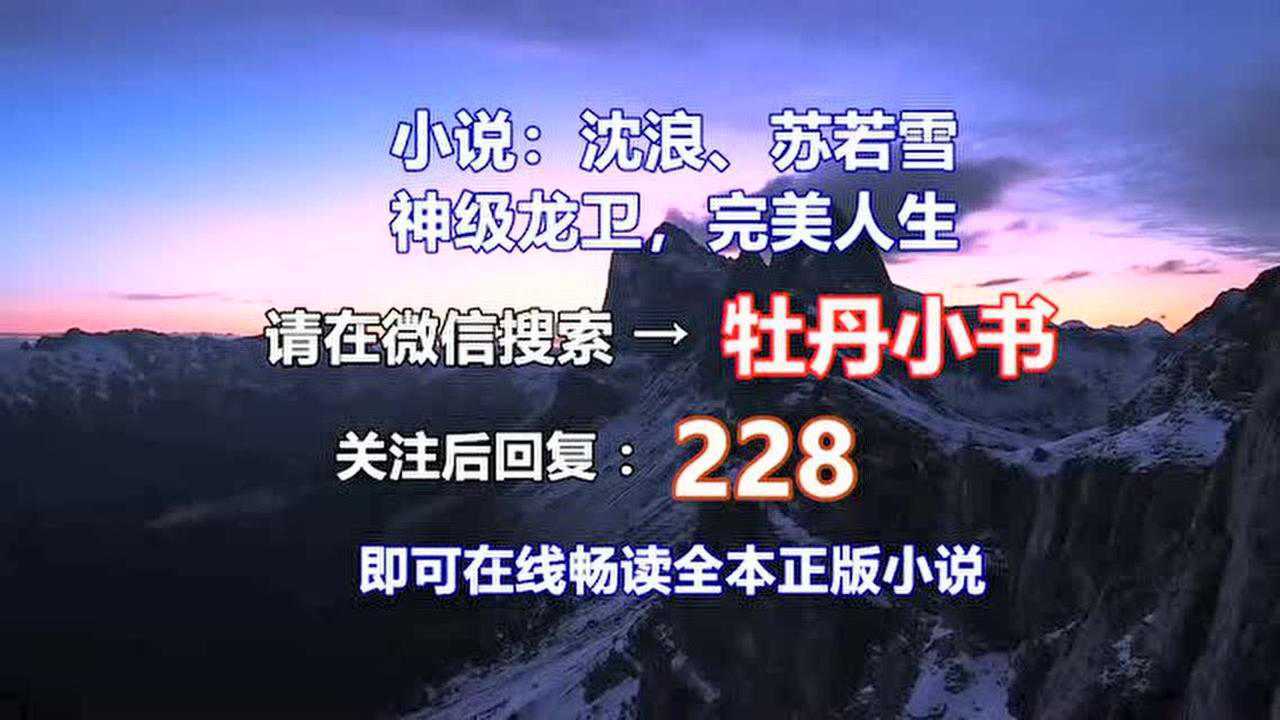 神级龙卫沈浪苏若雪最新版