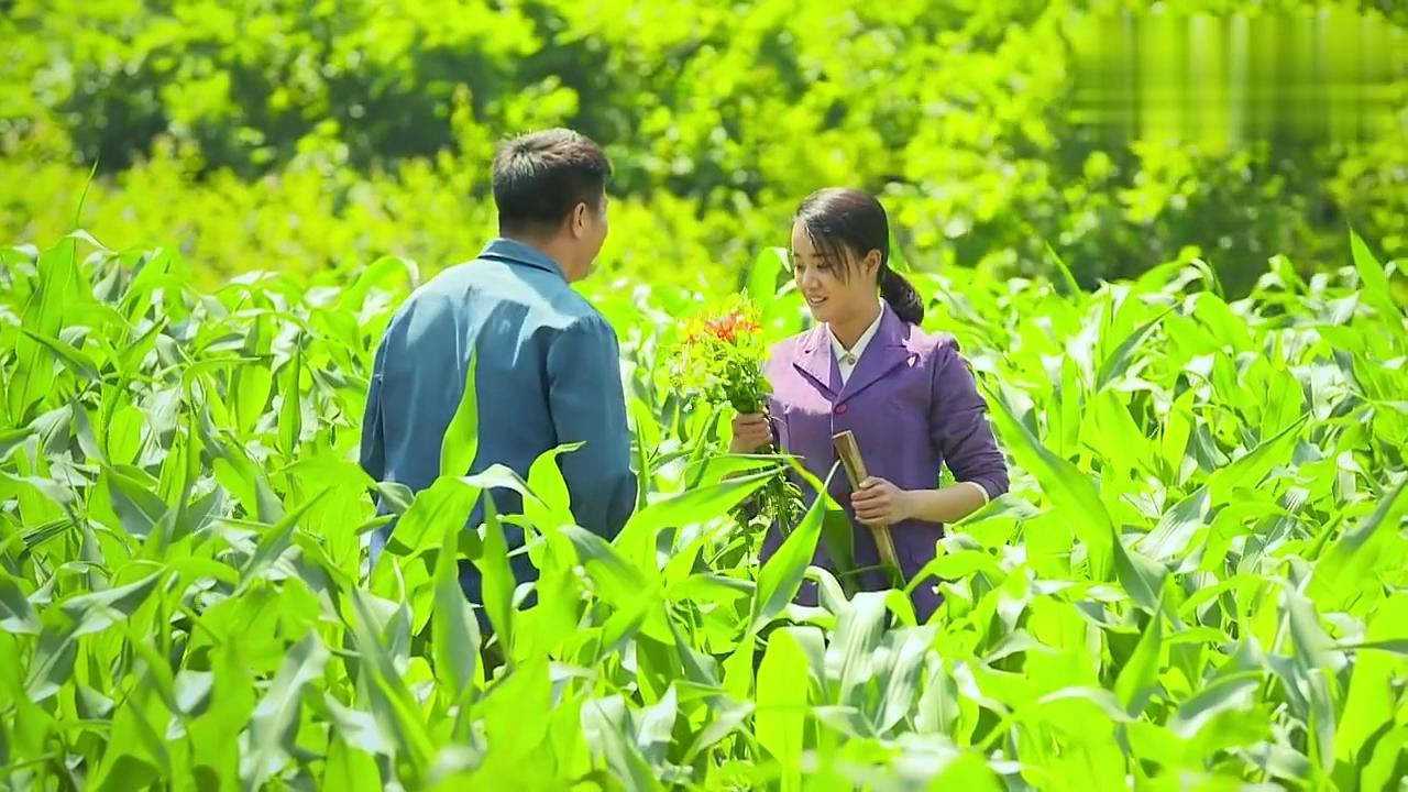 小草青青:大牛和喜鹊在玉米地玩起浪漫,农村式爱情,羡慕!