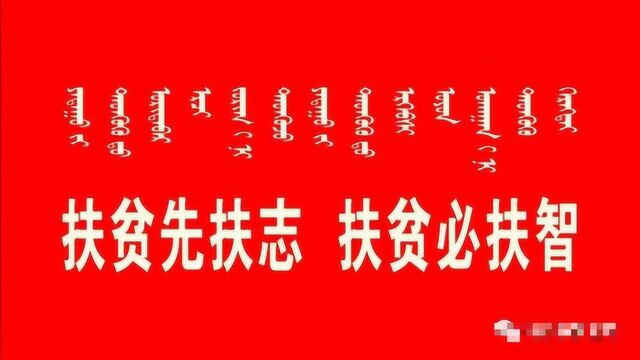 【脱贫攻坚】自治区科技厅党组书记冯家举深入帮扶点调研