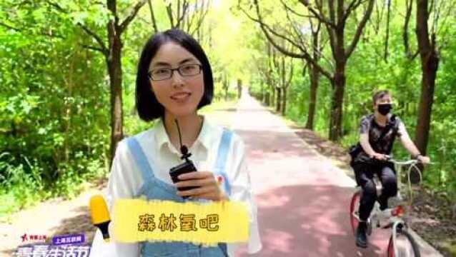 叶榭篇之美景