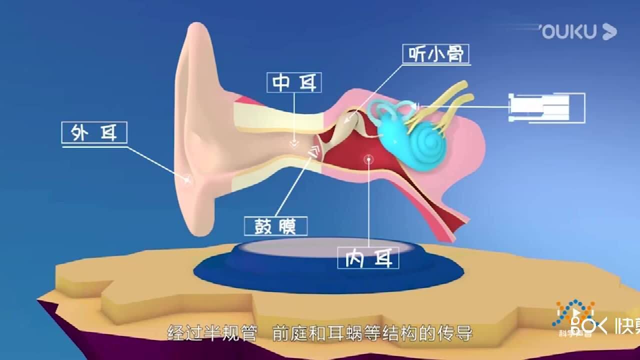 《声音的传播》