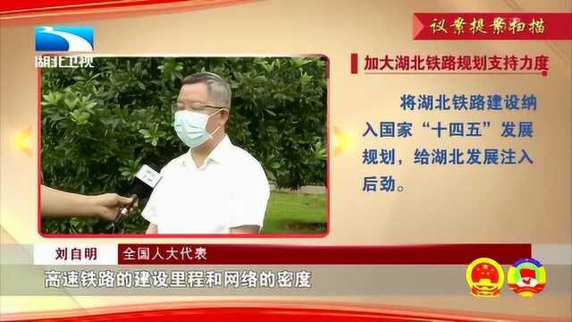 刘自明代表:加大湖北铁路规划支持力度