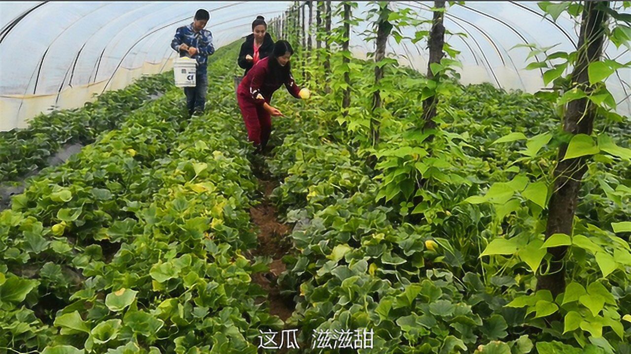 小遥农村生活图片