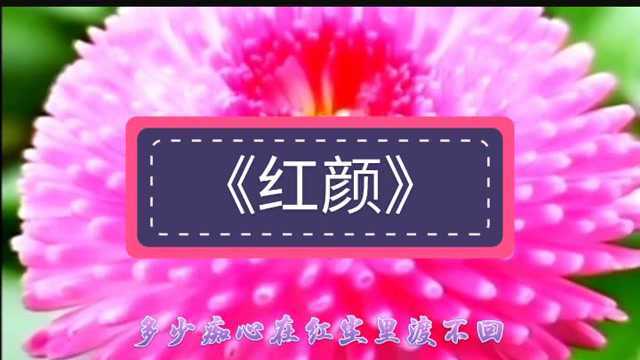 一首好听的古风歌曲《红颜》送给你,曲调古韵幽雅,词曲完美结合