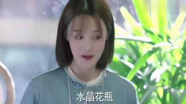 一千零一夜:同事们恭喜七七升职,七七乐坏了