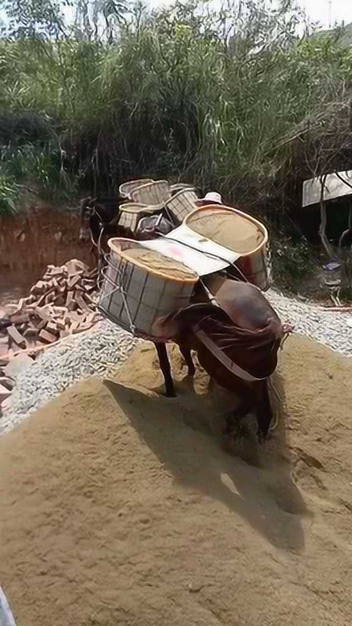 干活干出经验来了