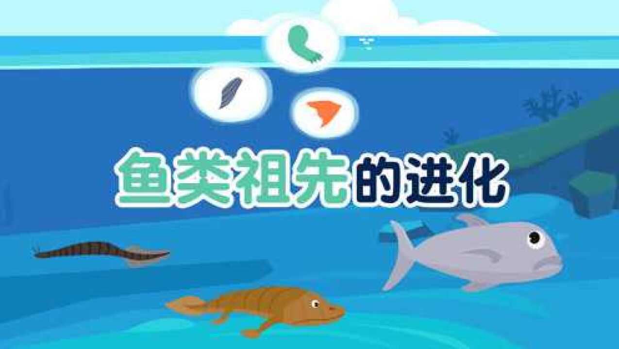 第04集 鱼类祖先的进化