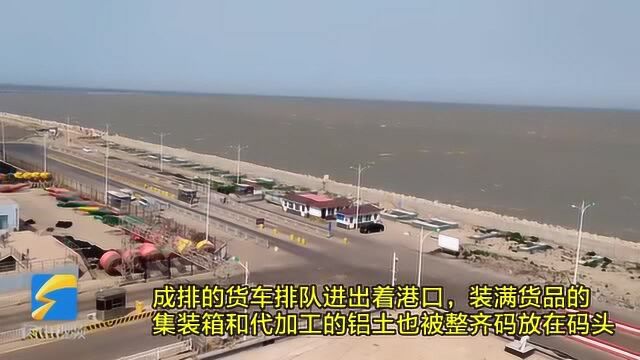 40秒丨向海要经济、向海要效益!滨州全力打造滨州港“智慧口岸”品牌