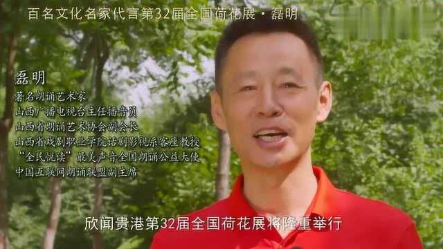 磊明:我期待到贵港东湖赏荷