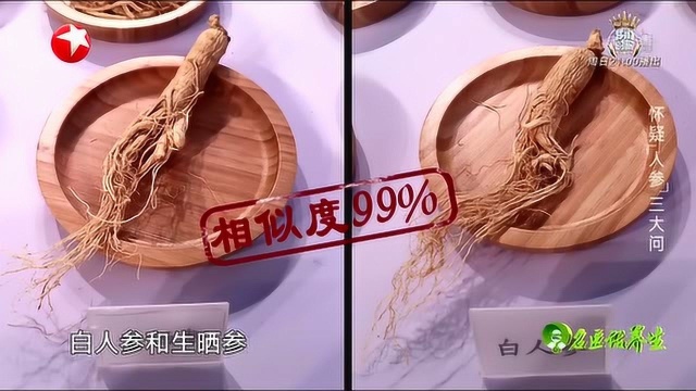 白人参和生晒参怎么区分?专家是这样解释的