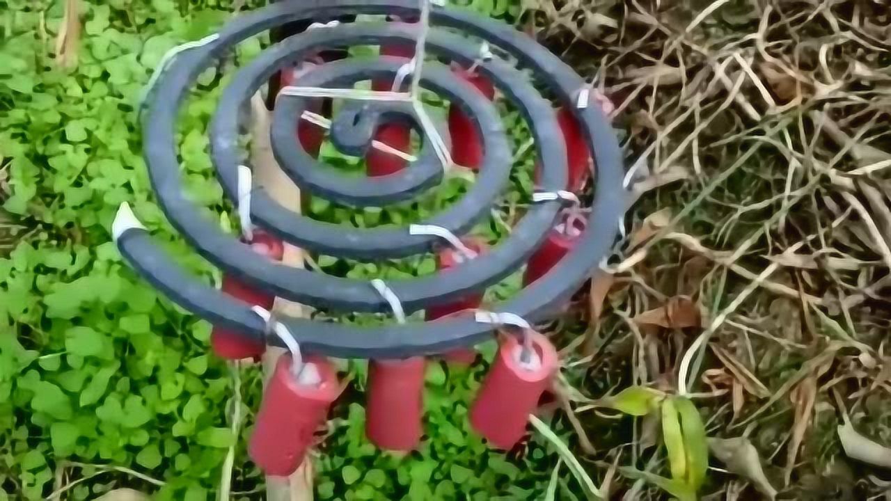 农民发明的驱鸟神器把鞭炮挂在蚊香上发明家的世界咱们果然不懂
